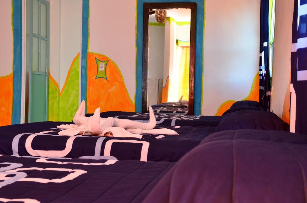 Adventure Experience Hotel 신데 델 카르멘 외부 사진